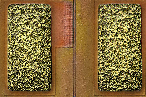 光學顯微分析與測量