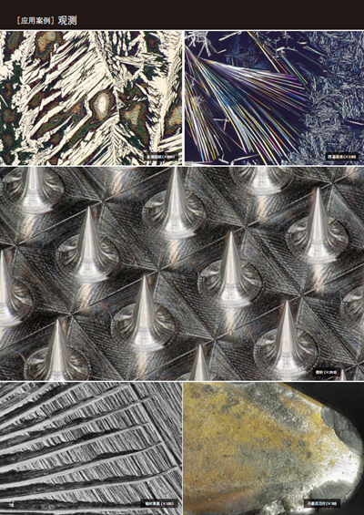 1652157980491938.png 87_副本.png