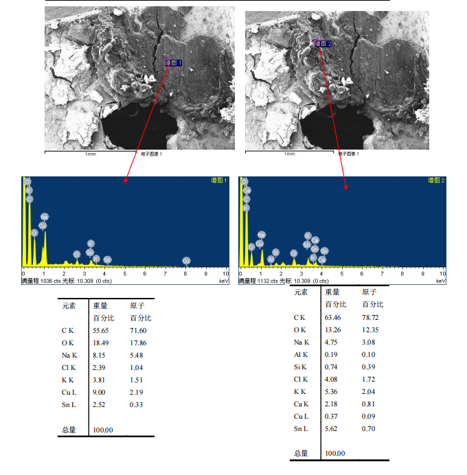 華南檢測|掃描電鏡檢測|EDS能譜檢測