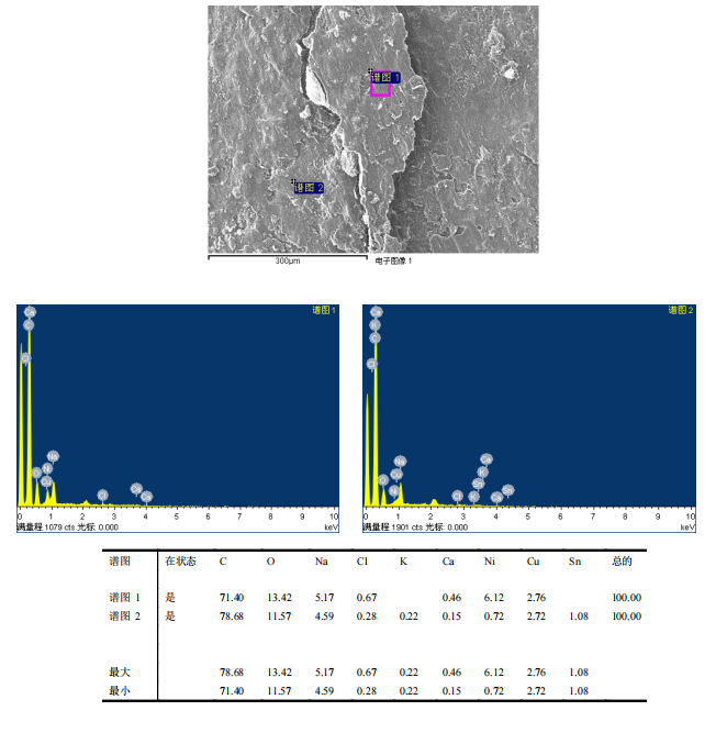 華南檢測|掃描電鏡檢測|EDS能譜檢測