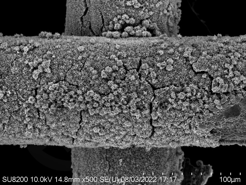TiO2復合材料表面微觀形貌分析檢測