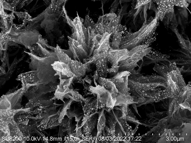 TiO2復合材料表面微觀形貌分析檢測