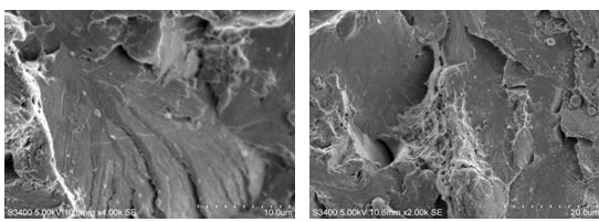第三方電鏡(SEM/TEM)檢測(cè)機(jī)構(gòu) 第三方電鏡(SEM/TEM)檢測(cè)機(jī)構(gòu)
