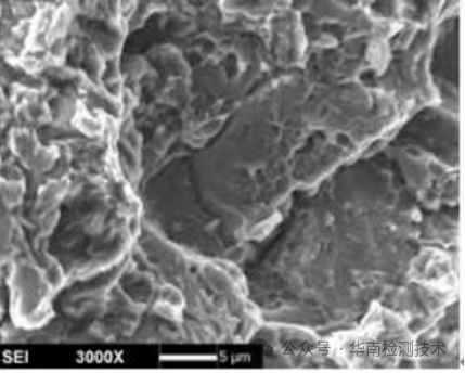 擴(kuò)展區(qū) 韌窩+解理形貌