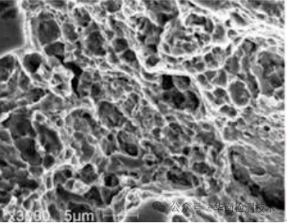 瞬斷區(qū) 韌窩形貌