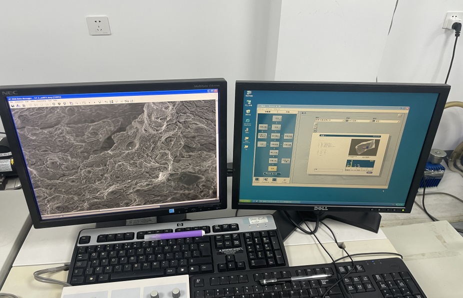 SEM-EDS技術(shù) SEM-EDS技術(shù)