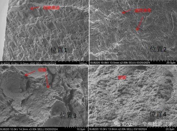電鏡掃描SEM分析