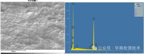 電機蝸桿斷裂失效分析-EDS分析