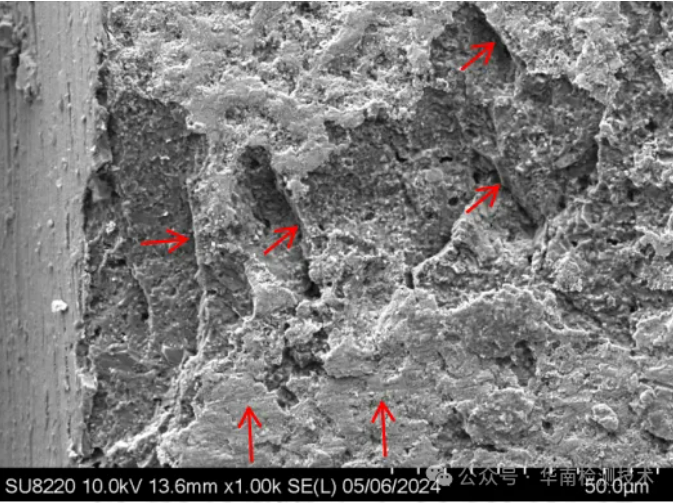 金屬膜電阻電鏡拍照