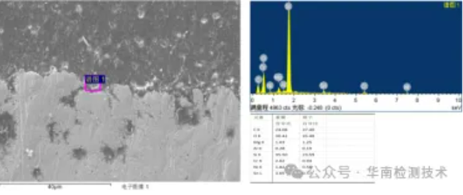 失效分析機構(gòu) 失效分析機構(gòu)