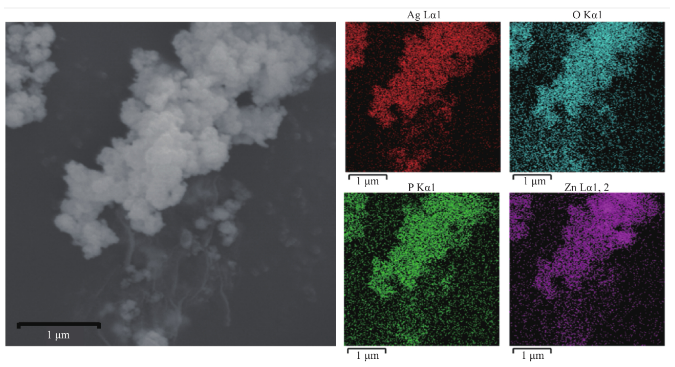 EDS能譜分析 EDS能譜分析