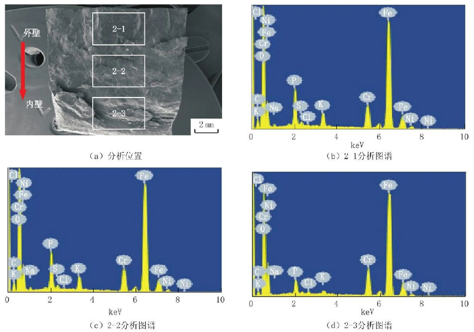 EDS能譜分析 EDS能譜分析