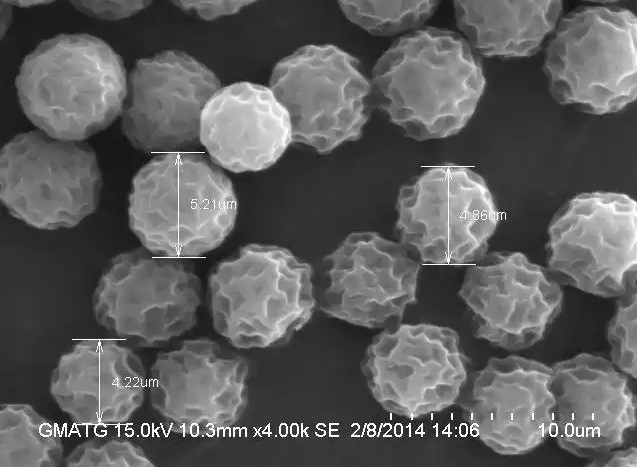 掃描電鏡(SEM)分析 掃描電鏡(SEM)分析