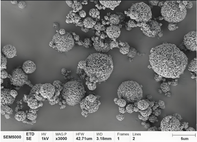 掃描電鏡(SEM)分析 掃描電鏡(SEM)分析