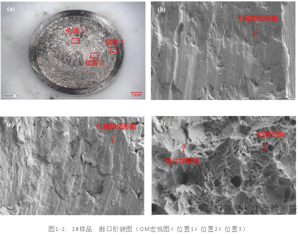 電機軸斷裂失效分析 電機軸斷裂失效分析