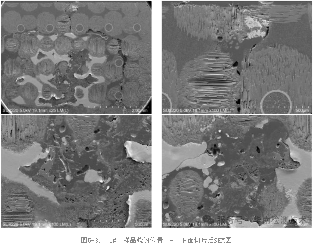 SEM/EDS分析 SEM/EDS分析