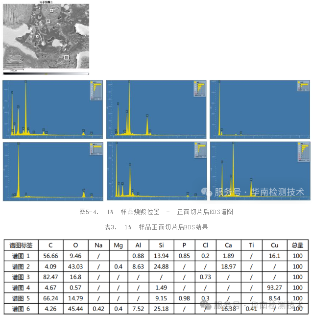 SEM/EDS分析 SEM/EDS分析