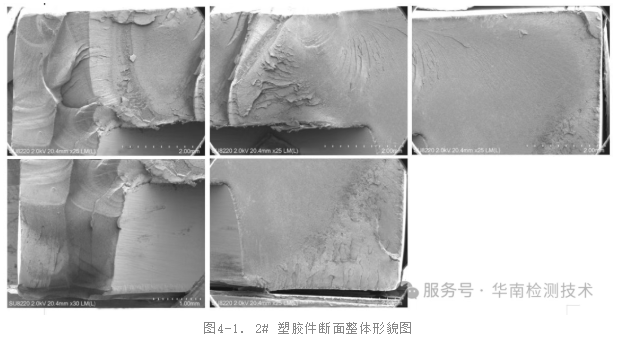 SEM（掃描電子顯微鏡）觀察