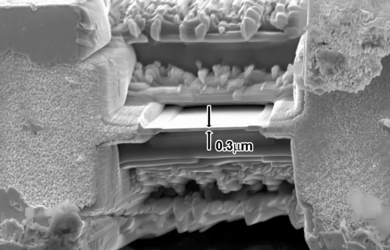 SEM觀察形貌 SEM觀察形貌