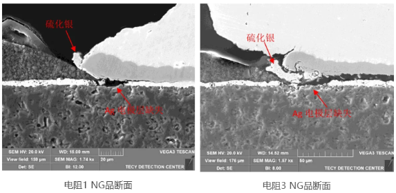 Ni層與保護膜結合界面存在缺陷，導致內電極Ag在環境中發生硫化腐蝕