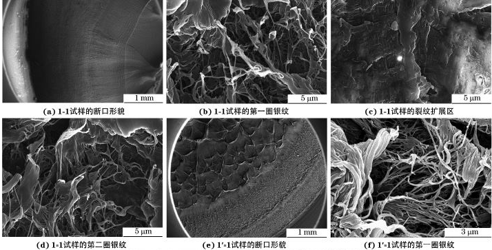 金屬材料與構(gòu)件失效分析