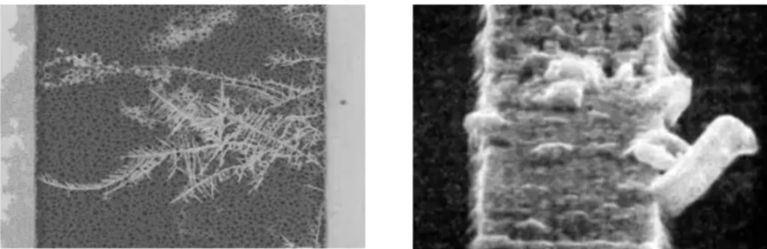 金屬互連遷移 金屬互連遷移